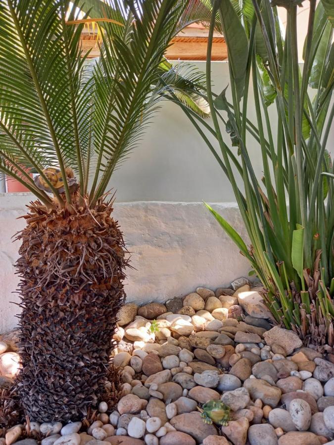 Alexandros Cosy House For Family Vacation Lejlighed Chania  Eksteriør billede